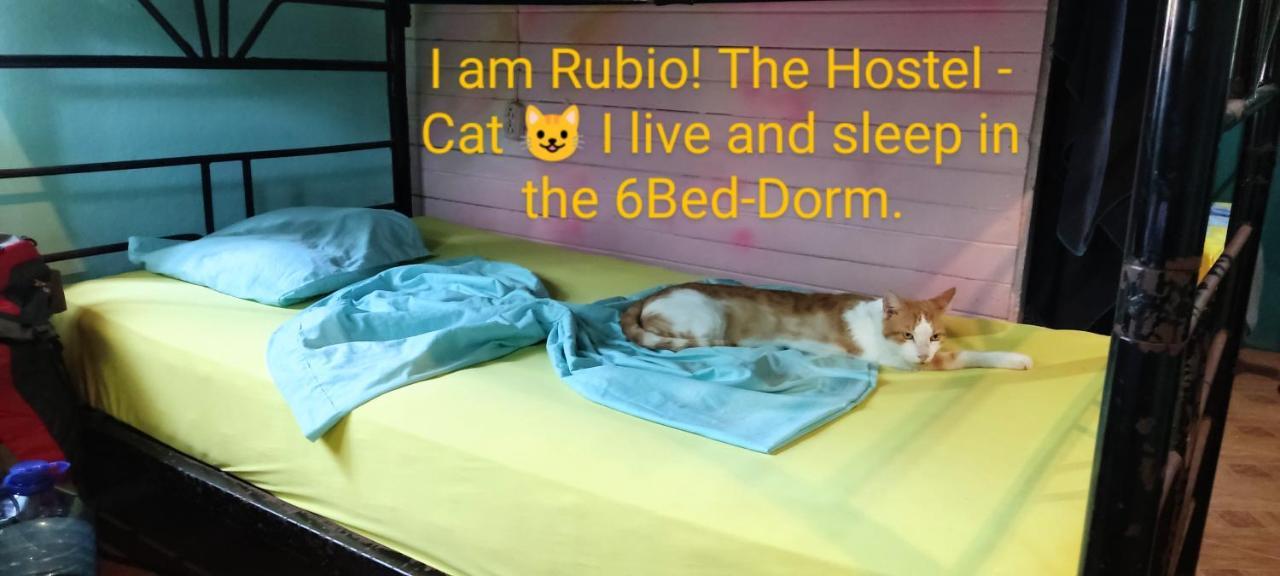 Hostel Matilori Sámara Kültér fotó